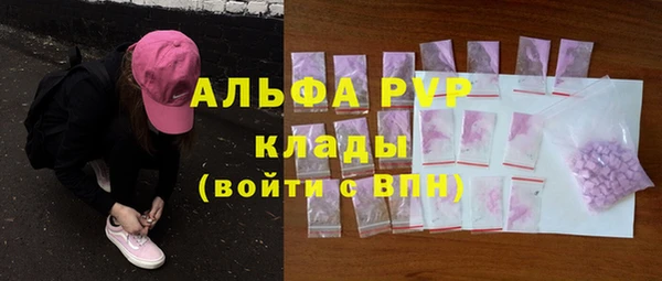 стаф Верея