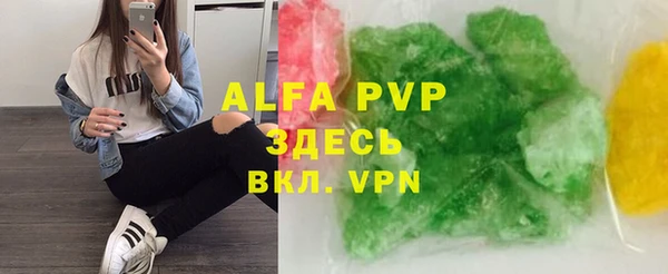 стаф Верея