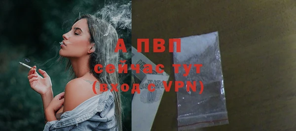 стаф Верея
