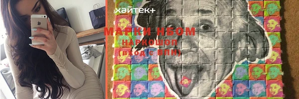 стаф Верея